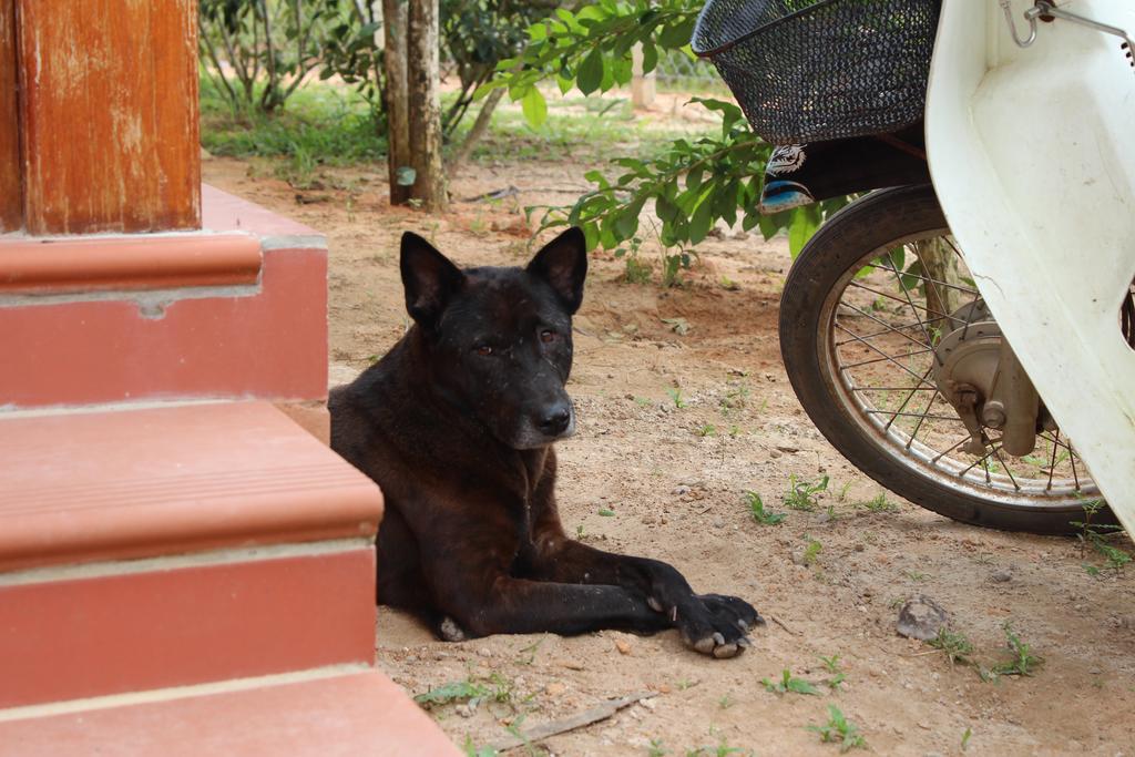 Spring Garden Homestay Phu Quoc Exterior photo