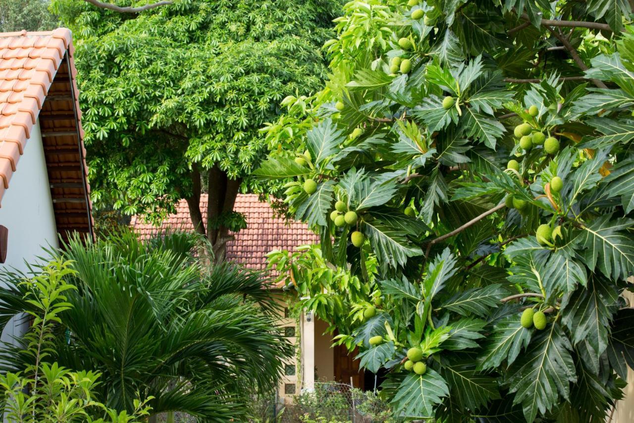 Spring Garden Homestay Phu Quoc Exterior photo