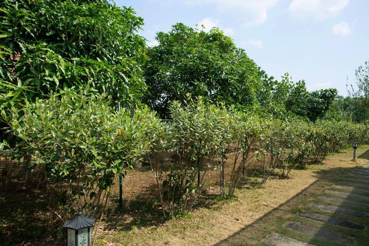 Spring Garden Homestay Phu Quoc Exterior photo